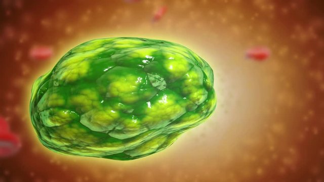 Conceptual visualization of a lysosome. Lysosomes are cellular organelles that contain acid hydrolase enzymes that break down waste materials and cellular debris.