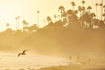 Sunset landscape at Laguna Beach California