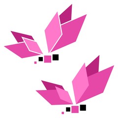 Butterfly 4