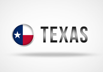 Texas 3d illustration concept