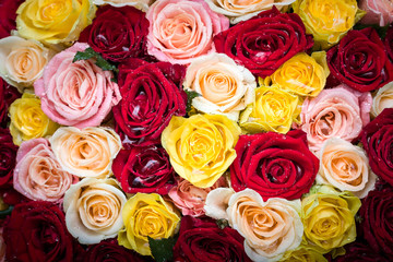 bouquet of roses with dew drops