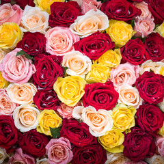 bouquet of roses with dew drops