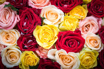 bouquet of roses with dew drops