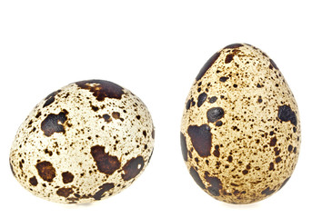 Obraz premium Quail eggs on a white background