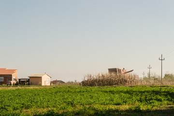 harvester in a field