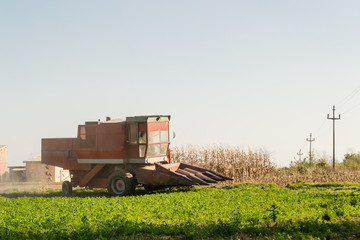harvester in a field