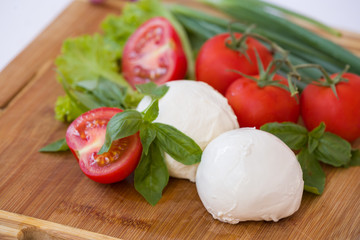 Homemade Organic Mozzarella Cheese with Tomato and Basil and onions.