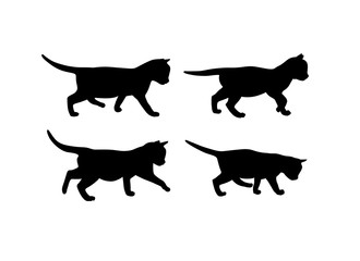Kitten vector silhouette collection