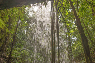 View from behind the waterfall, Emerald Pool, Dominica, Caribbean