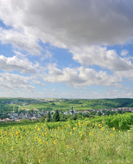 Fototapeta na wymiar Weinort Jugenheim in Rheinhessen,Rheinland-Pfalz,Deutschland
