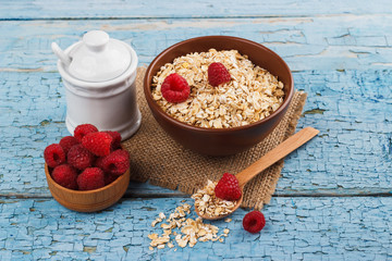 Portion of oatmeal in the bowl with berries