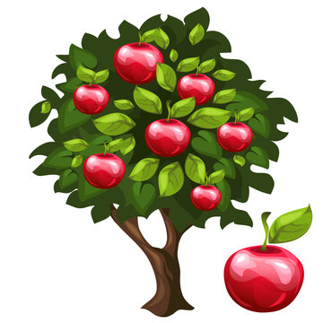Apple tree with ripe fruits in cartoon style