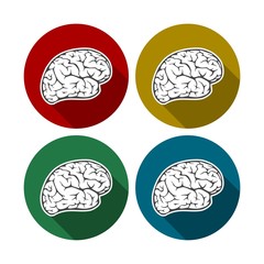 Vector collection of brains