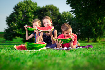 Cute children eating watermelon on a sunny day