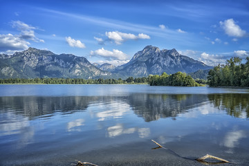 Obraz premium Neuschwanstein at Forggensee lake