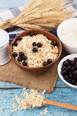 Portion of oatmeal in the bowl with black chokeberry