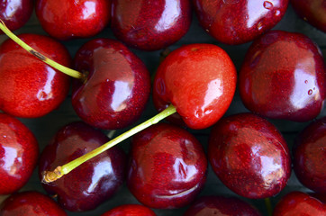 Fresh ripe cherry berries with water drops close up.Selective focus.Cherry berries background.
