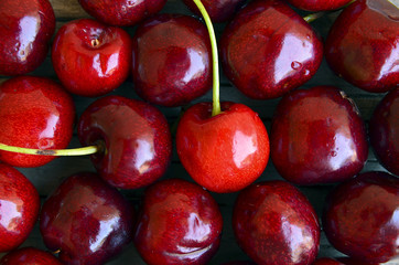 Fresh ripe cherry berries with water drops close up.Selective focus.Cherry berries background.
