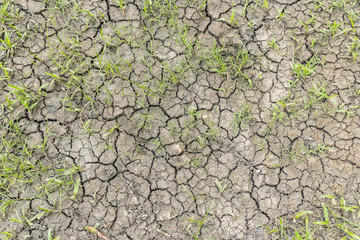 Cracked dry land