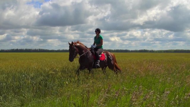 Young woman rider riding a horse on the field HD