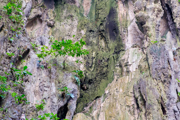 Wall of Batu Cave in Kuala Lumpur, Malaysia