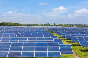 Photovoltaics module solar panels in solar farm  station   - 118044162
