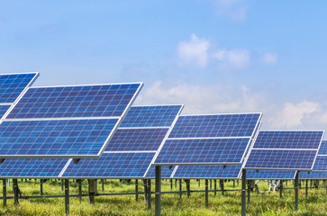 Photovoltaics module solar panels in solar station  