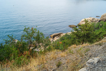 Sea view from the shore