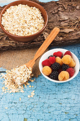 Portion of oatmeal in the bowl with different berries