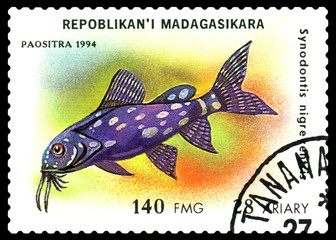    Vintage  postage stamp.  Synodontis  nigreventris.