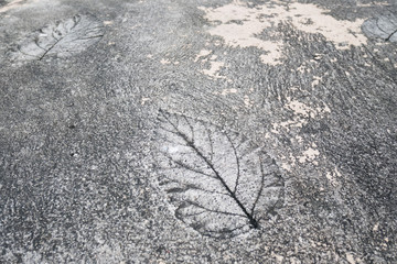 Close up photo of the cement for with leaves shape  on surface  the floor.