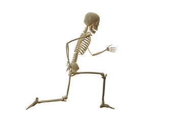Skeleton running isolated on the white