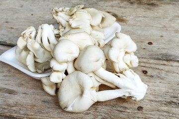 Oyster mushroom on wood background