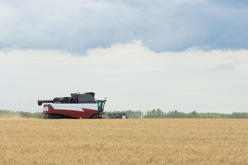 cleaning combine in the field