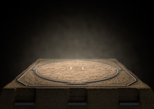 Sumo Ring Empty