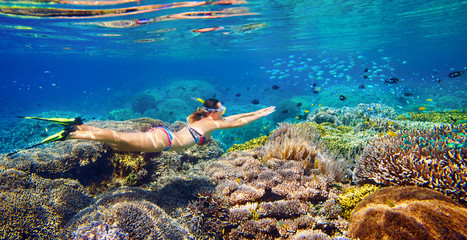 Jeune femme à la plongée en apnée dans l& 39 eau tropicale