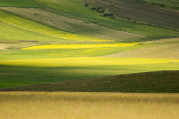 Fototapeta premium Castelluccio di Norcia