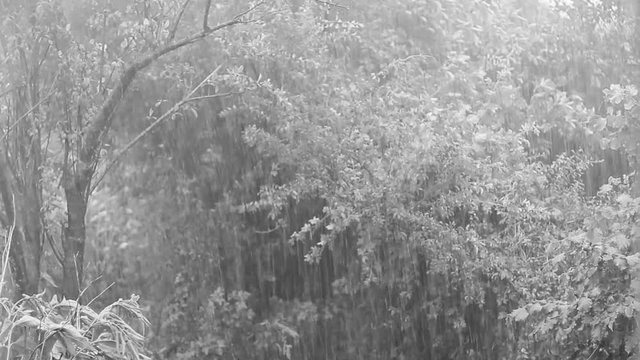 Atlantic tropical storm rain in the summer, black and white video clip