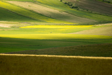 Castelluccio di Norcia