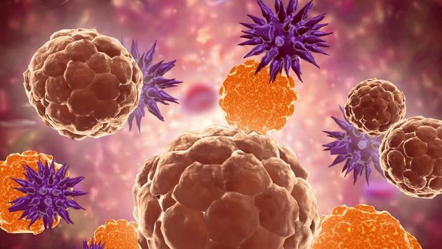 Biomedical visualization of a ubiquitous virus. 