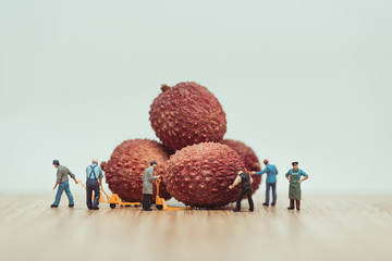 Miniature farmers loading lychees on pallet truck