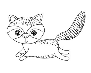 raccoon cute wildlife icon vector isolated graphic
