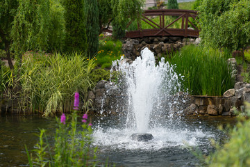 Outdoor landscape garden with pond and fountain