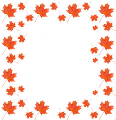 Naklejka na ściany i meble frame pattern maple leaf yellow red autumn