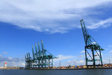 Fototapeta na wymiar Im Antwerpener Hafen / Containerbrücken im Delwaidedok des Antwerpener Hafens