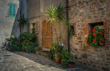 Fototapeta na wymiar House and plants in Montemerano, Tuscany