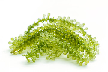 Sea grapes ( green caviar ) seaweed, Healthy food.