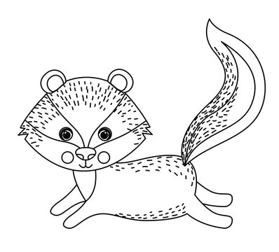 zorrillo cute wildlife icon vector isolated graphic