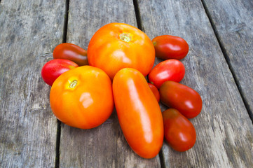 A few duferent colored tomatoes on the wooden deck