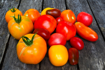 A few duferent colored tomatoes on the wooden deck.
